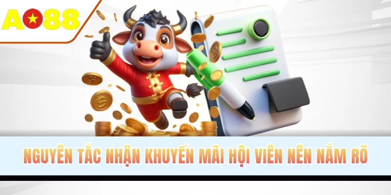 Nguyên tắc nhận khuyến mãi hội viên nên nắm rõ