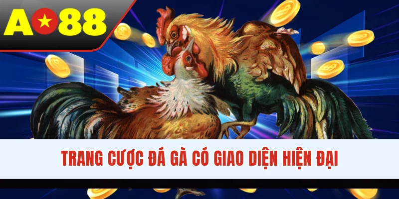 Trang cược đá gà có giao diện hiện đại